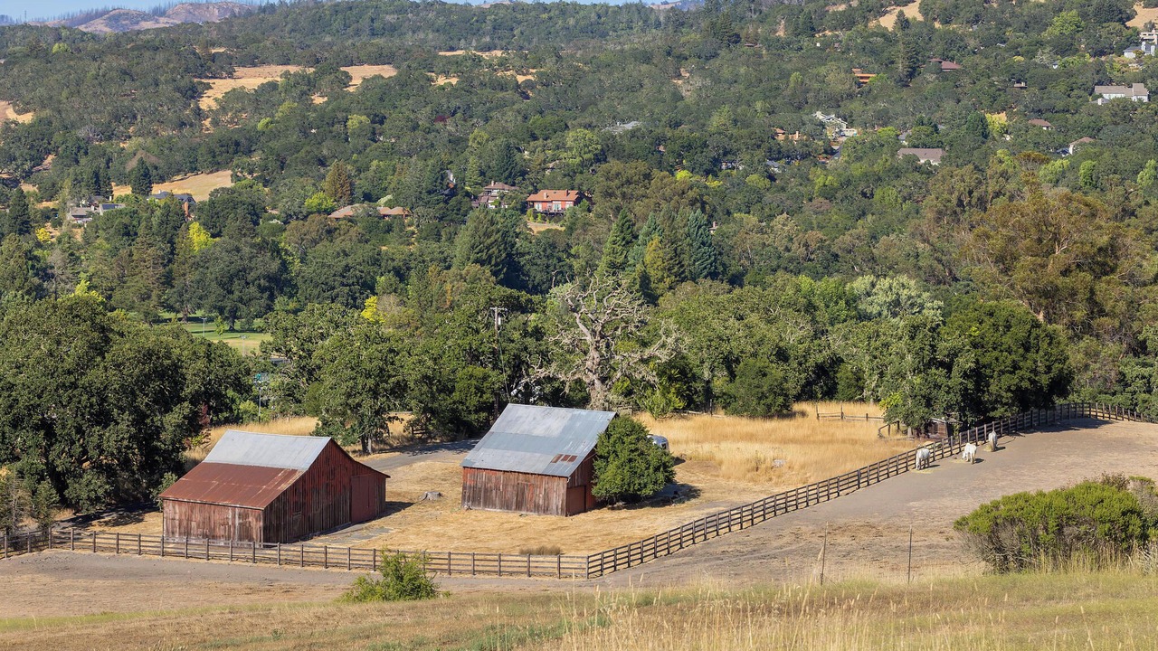 Photo of Others in Santa Rosa