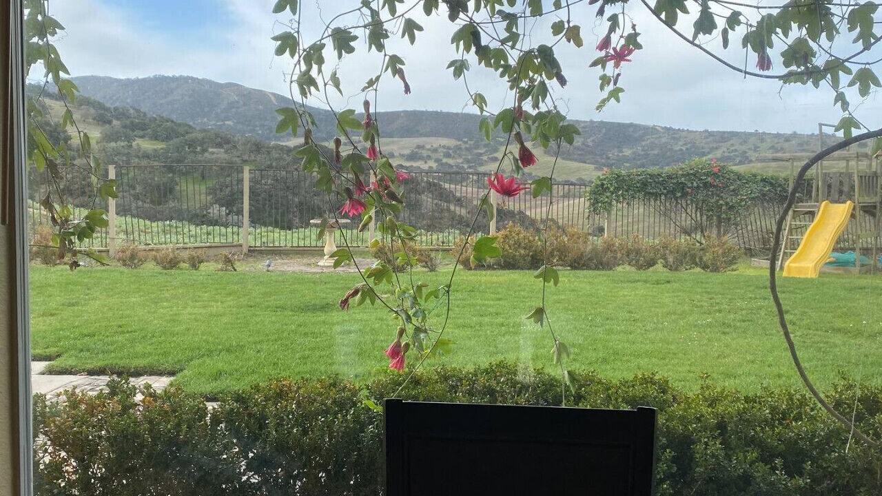 Photo of Others in Salinas