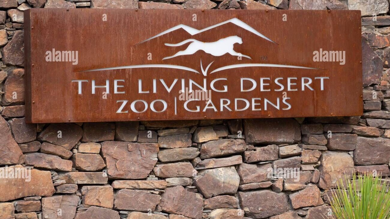 Photo of Others in Desert Hot Springs