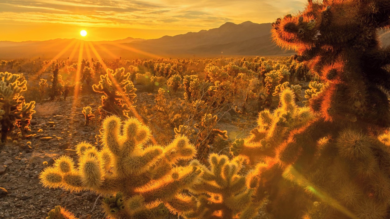 Photo of Others in Desert Hot Springs