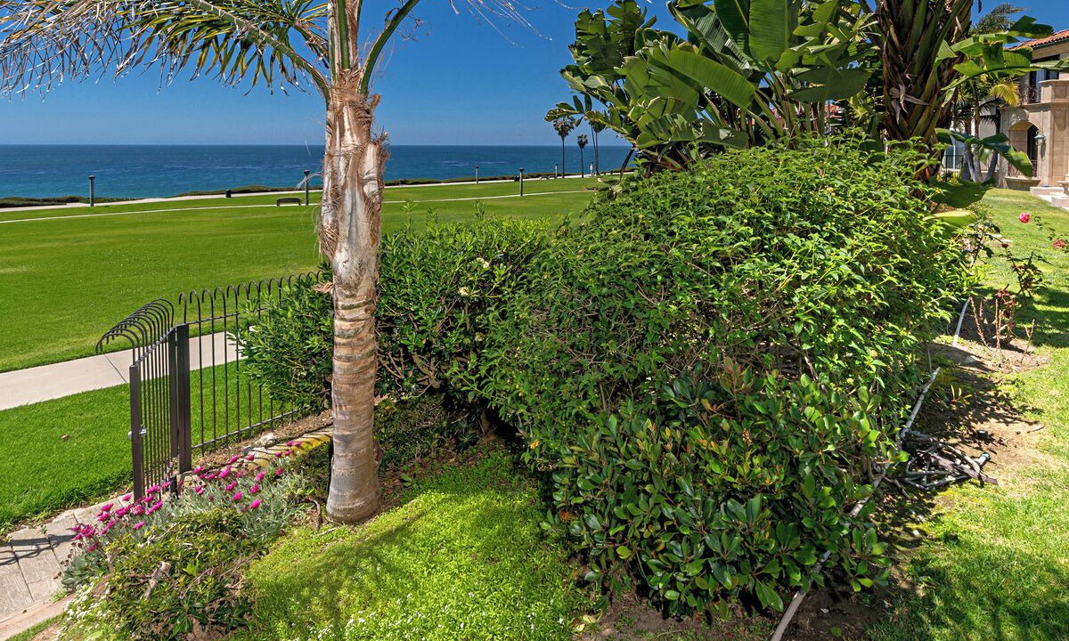 Photo of Outdoor in Monarch Beach