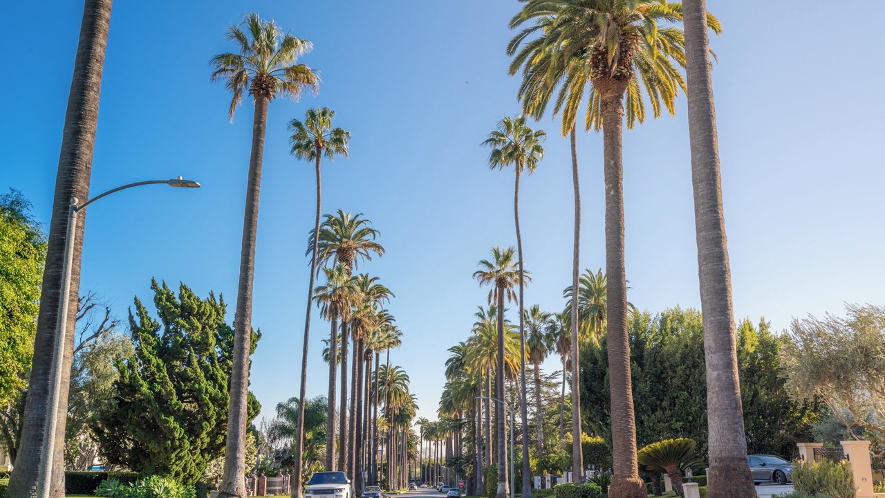 Photo of Others in Beverly Hills