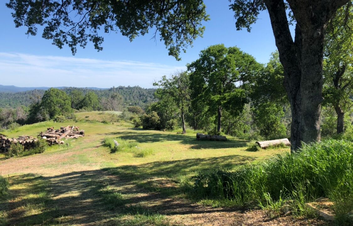 Photo of Others in Mariposa