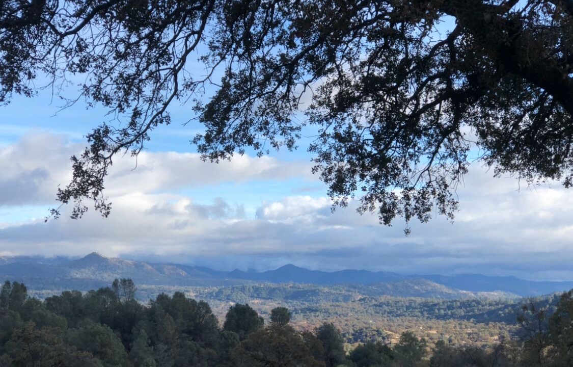 Photo of Others in Mariposa