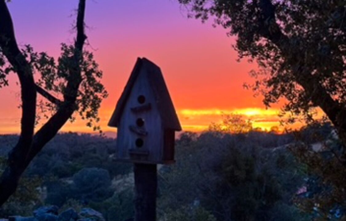 Photo of Others in Mariposa