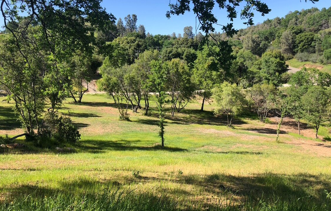 Photo of Others in Mariposa