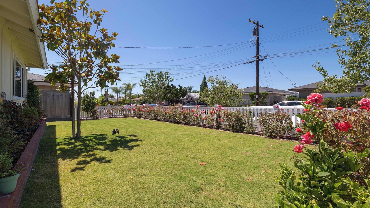 Photo of Outdoor in University City
