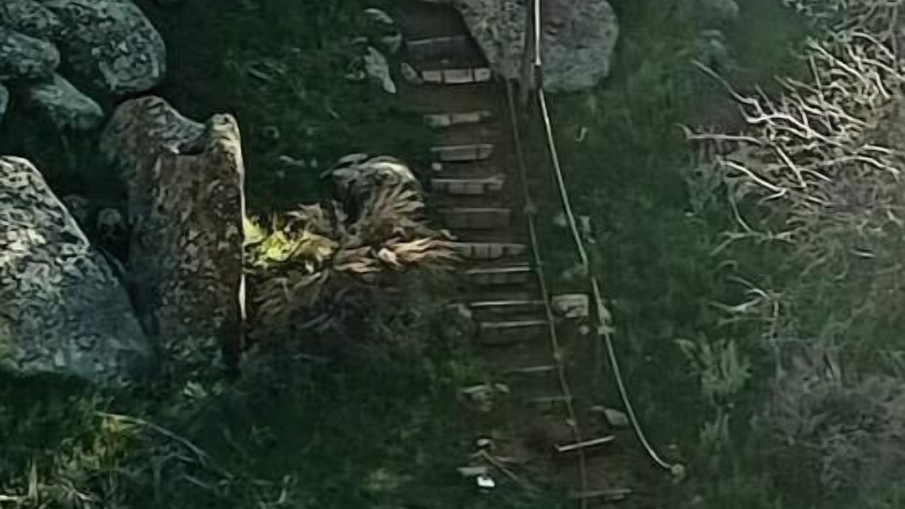 Photo of Others in Bodfish