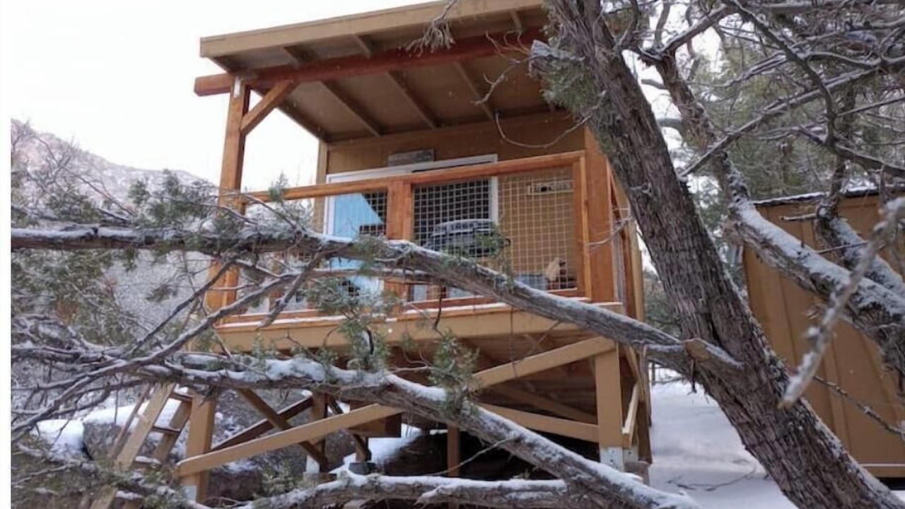 Photo of Outdoor in Bodfish