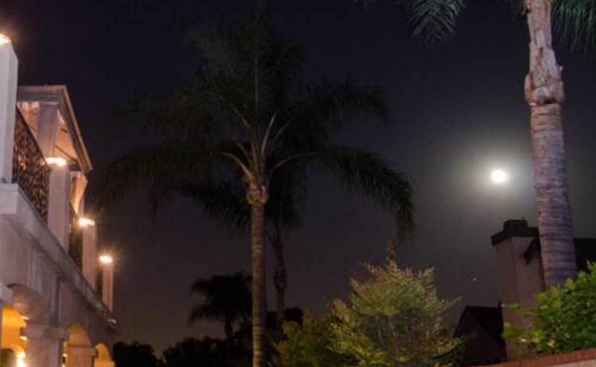 Photo of Outdoor in Chino