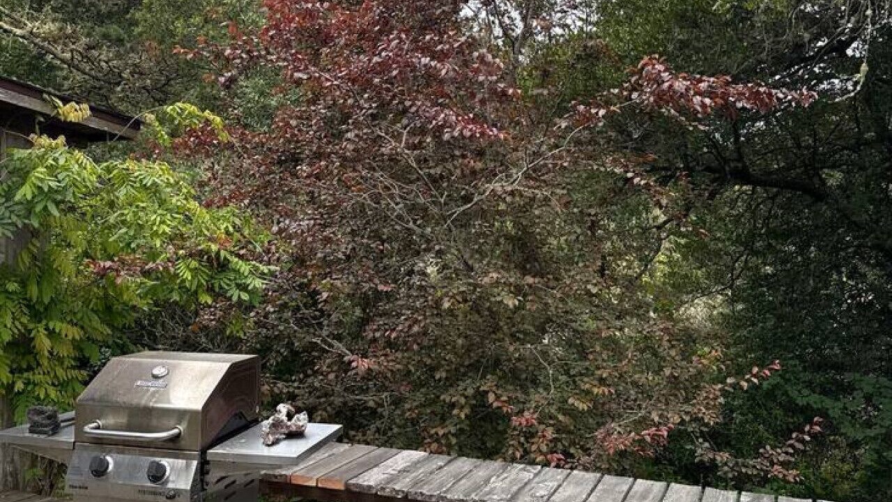 Photo of Outdoor in Inverness