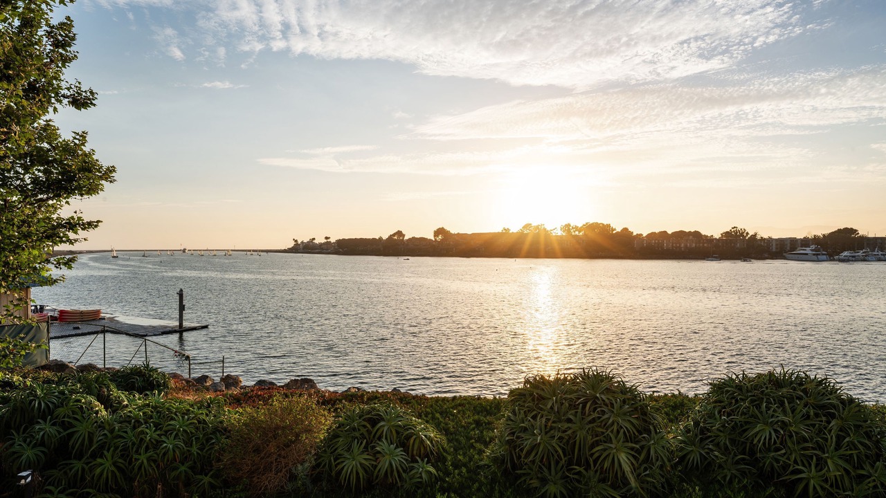 Photo of Others in Marina del Rey