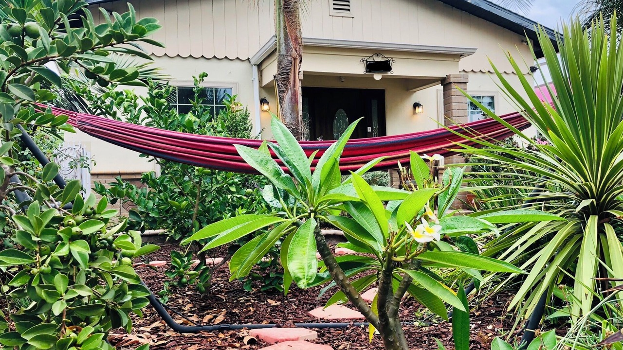 Photo of Outdoor in Park Mesa Heights