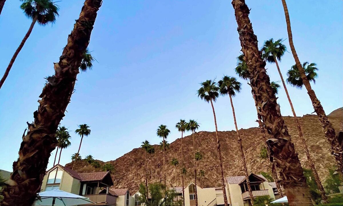 Photo of Others in Indian Wells