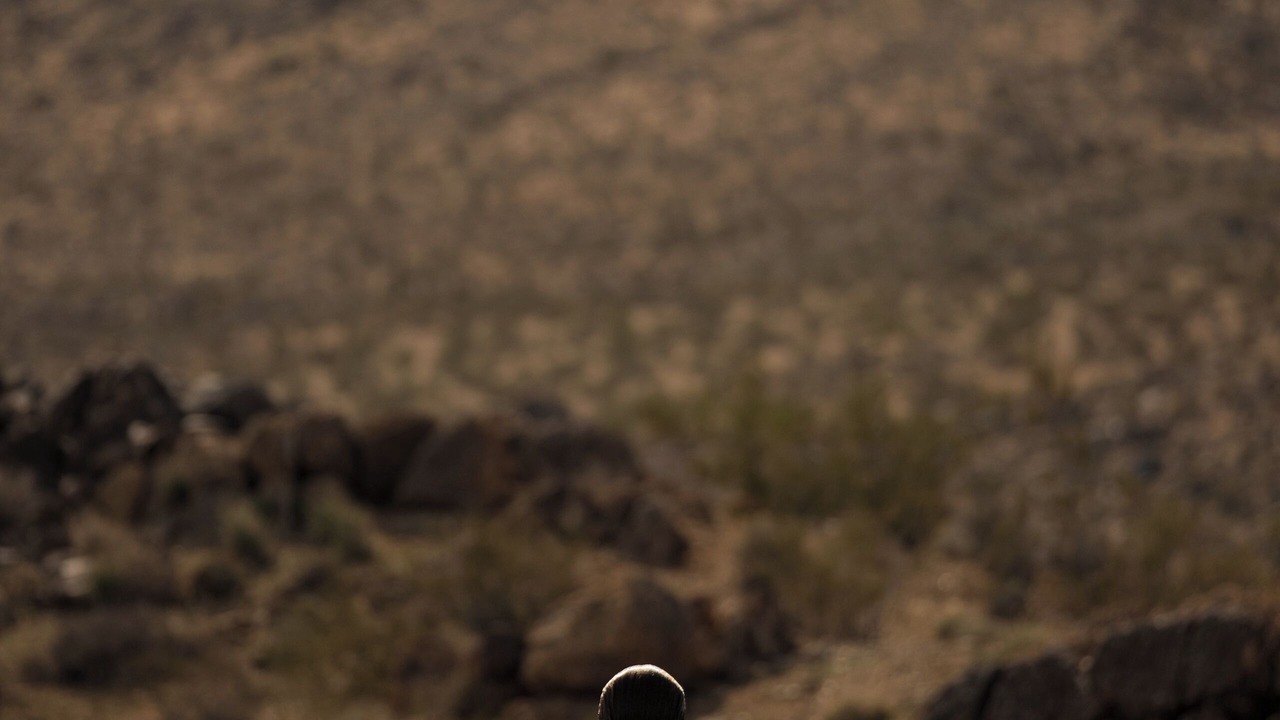 Photo of Outdoor in Yucca Valley