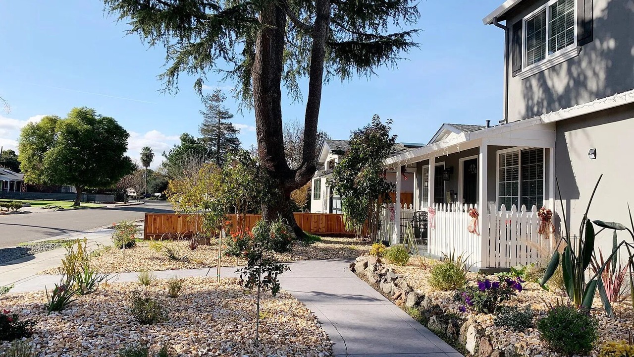 Photo of Outdoor in San Jose