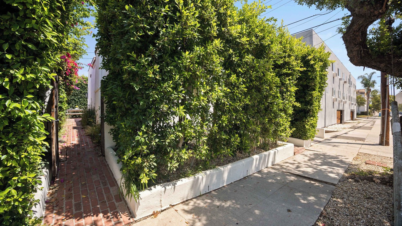 Photo of Outdoor in Melrose