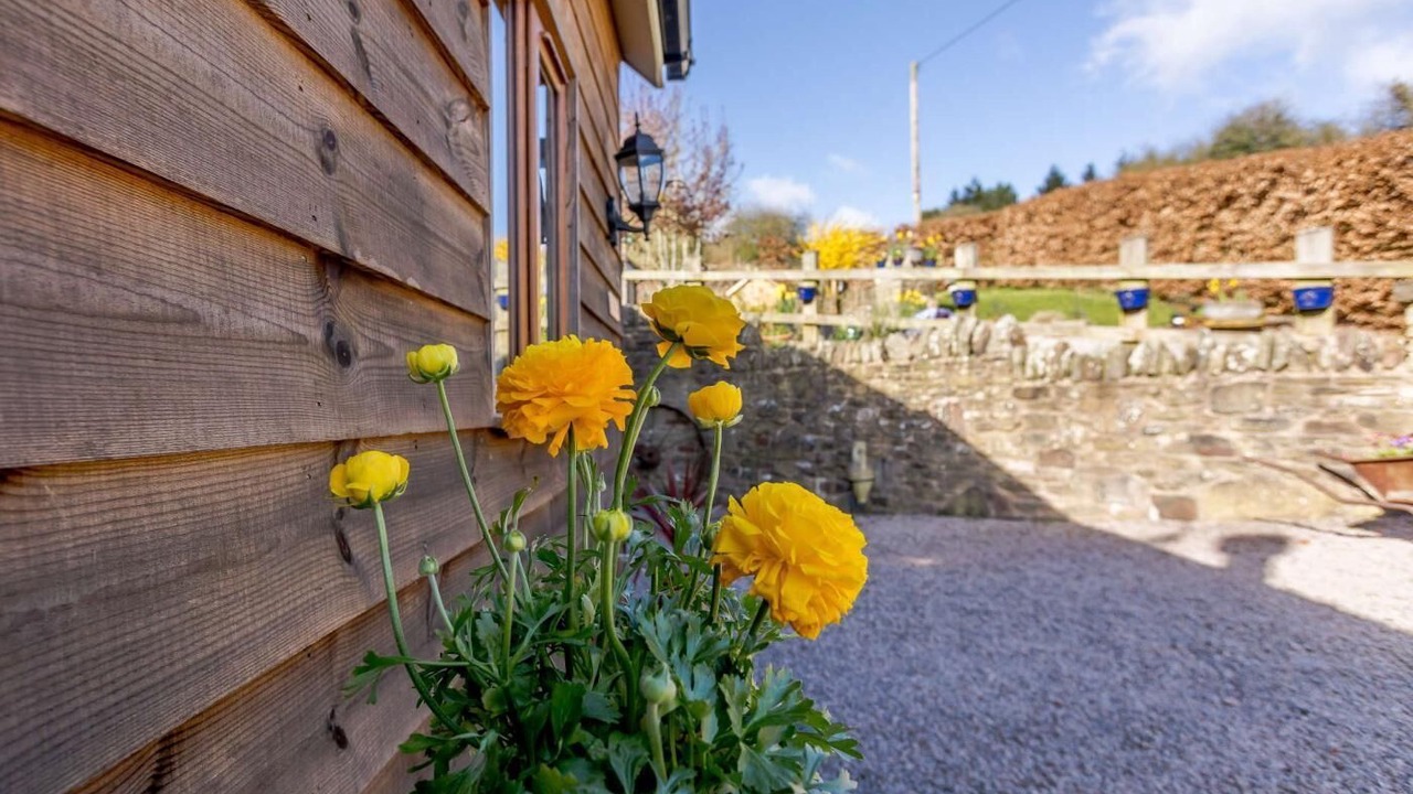 Photo of Outdoor in Whitecroft