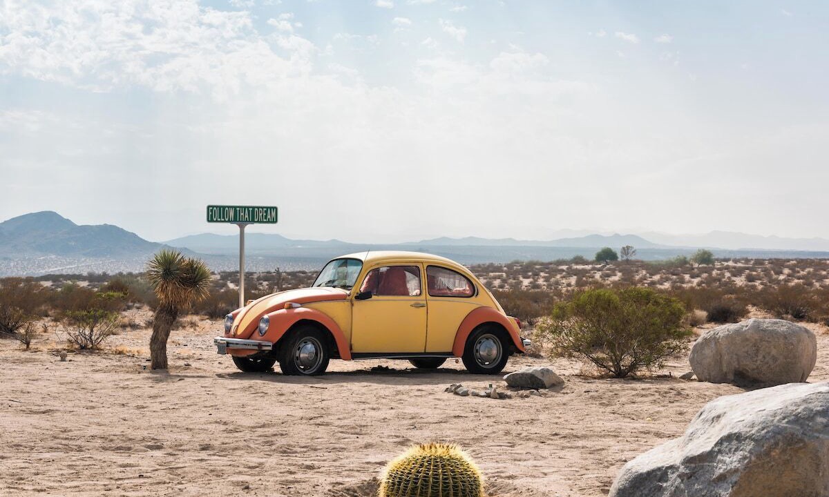 Photo of Others in Joshua Tree