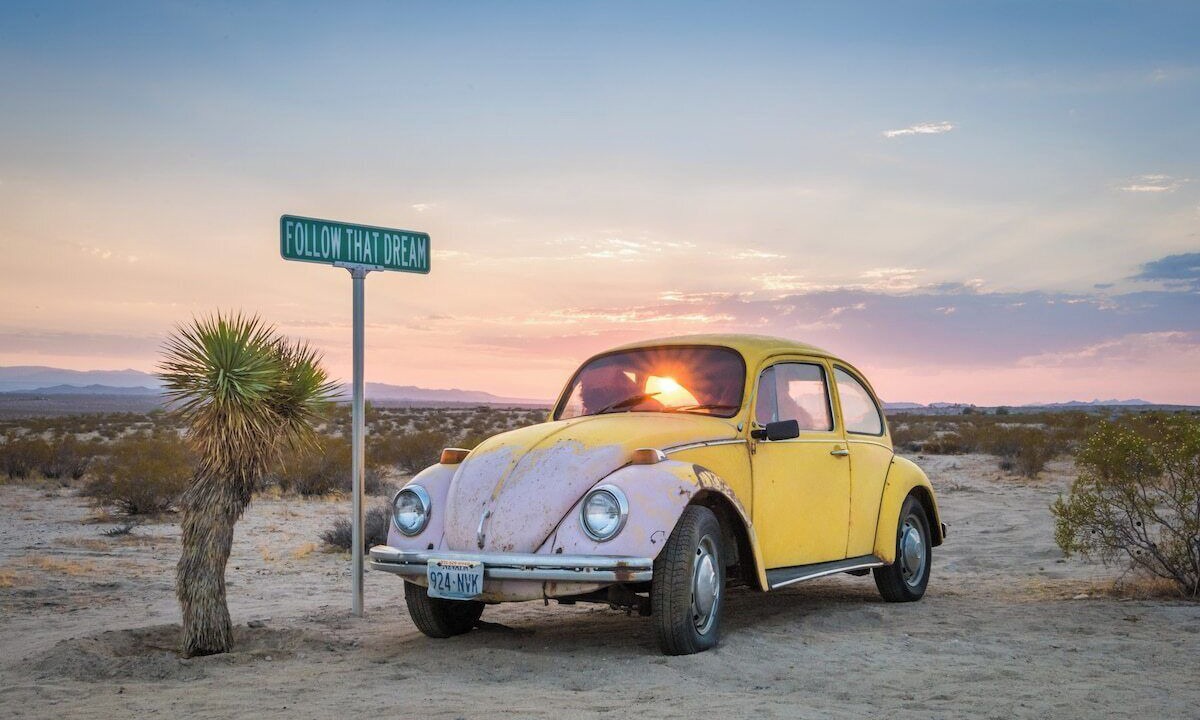 Photo of Others in Joshua Tree