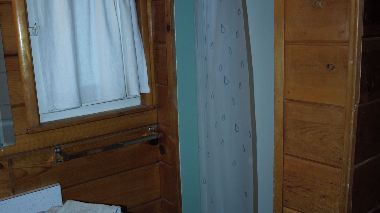 Photo of Bathroom in Lake Isabella