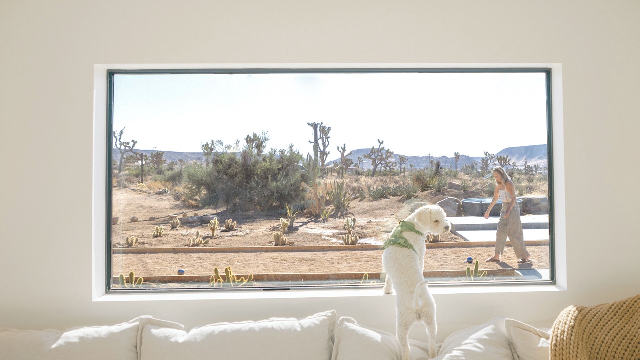 Photo of Others in Pioneertown