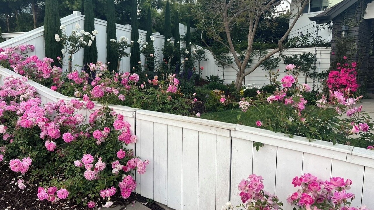 Photo of Outdoor in Solana Beach