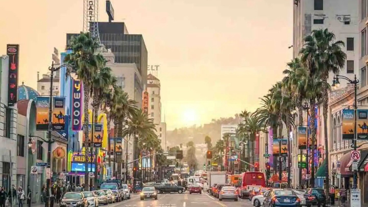 Photo of Others in Hollywood Hills West