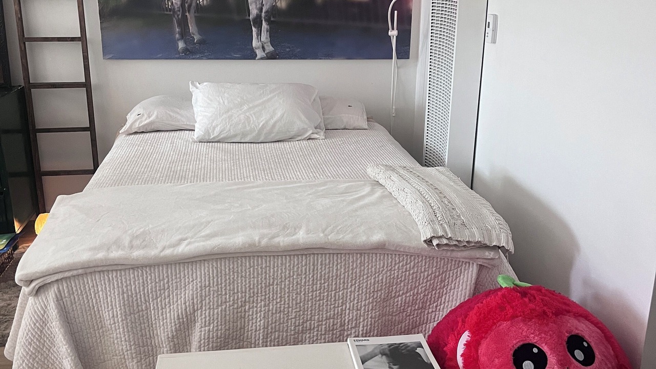 Photo of Bedroom in Palms