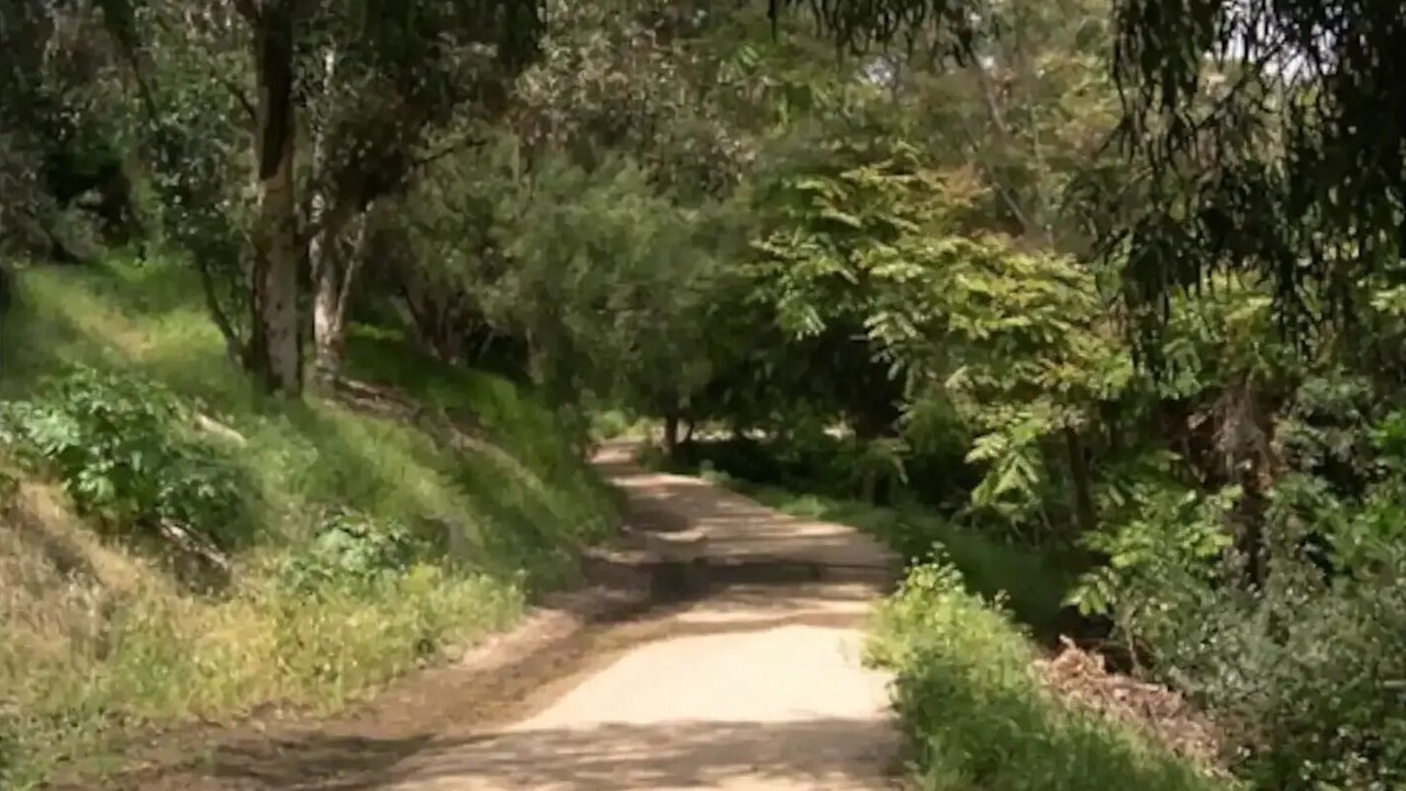 Photo of Outdoor in Elysian Heights