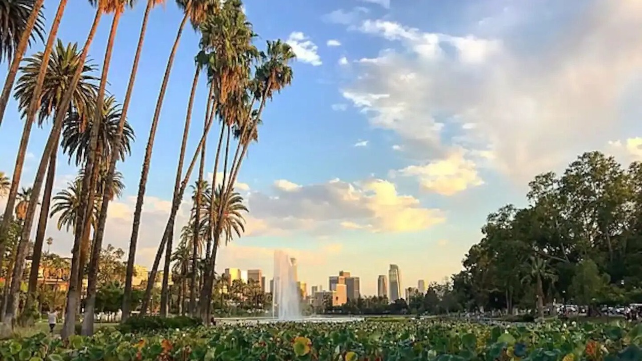 Photo of Others in Atwater Village