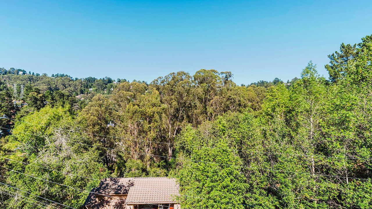 Photo of Outdoor in Piedmont Pines