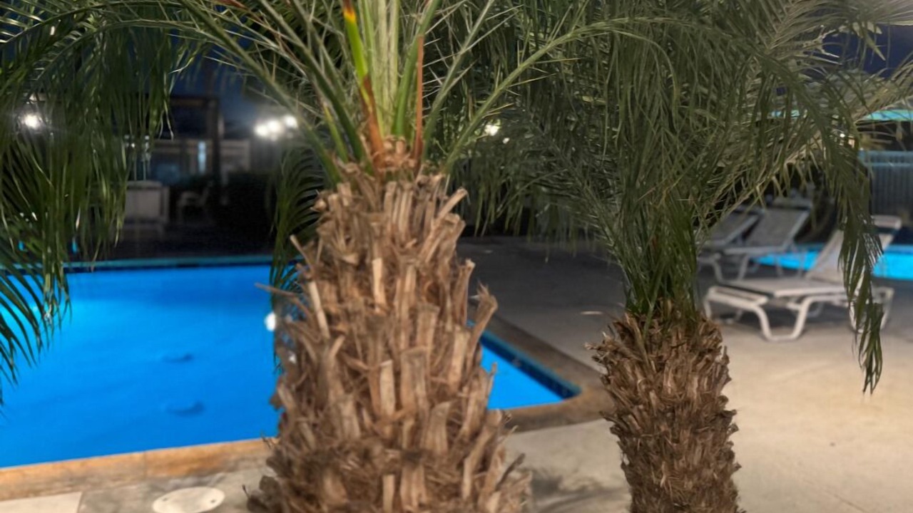 Photo of Outdoor in Huntington Beach