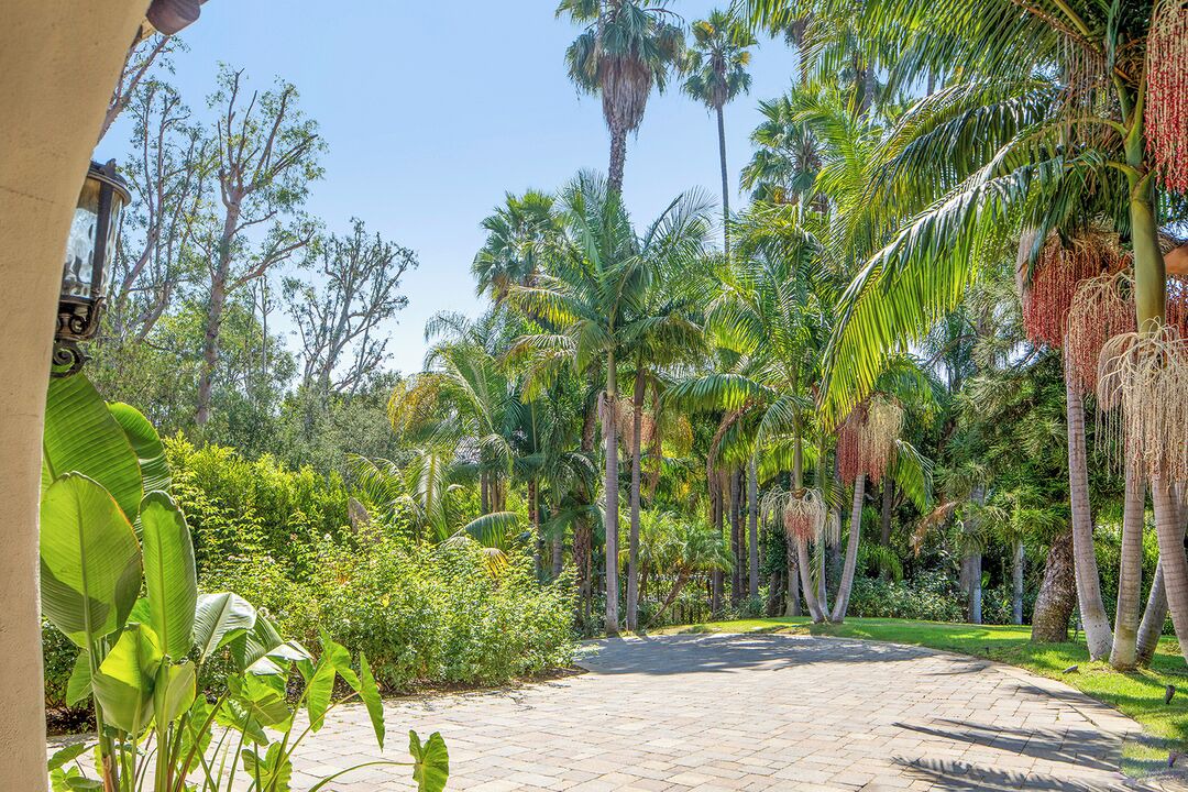 Photo of Outdoor in Beverly Hills