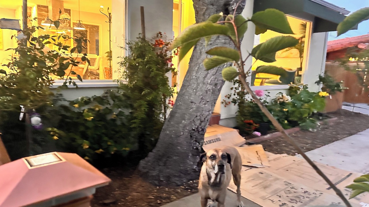 Photo of Outdoor in Del Rey Oaks