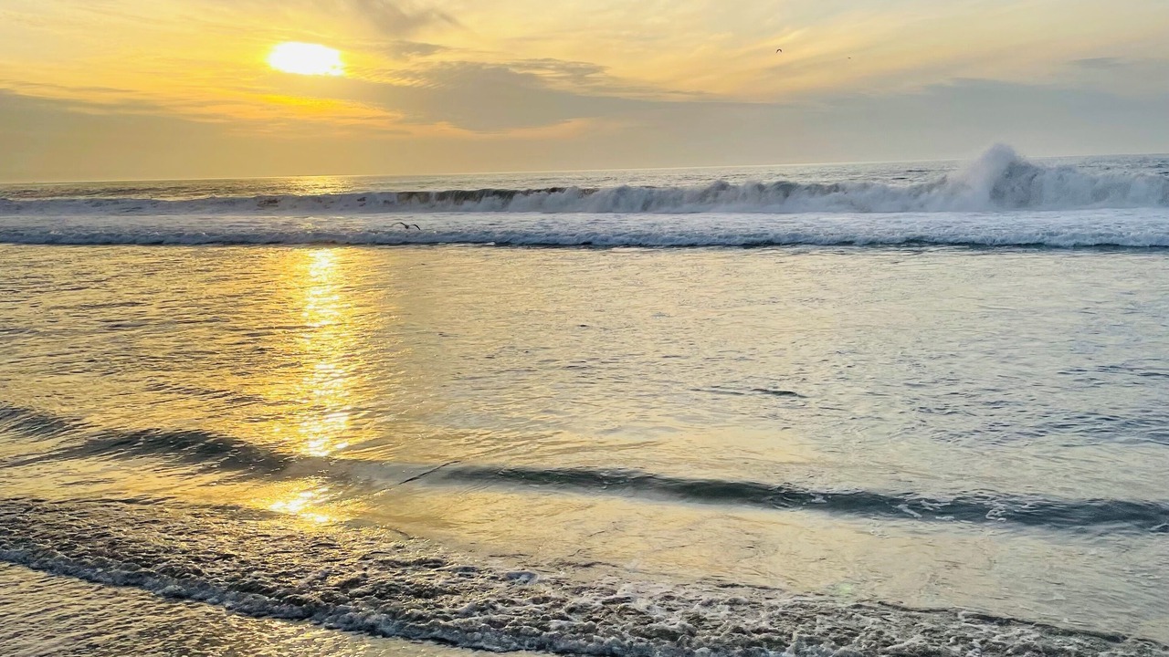Photo of Others in Redondo Beach