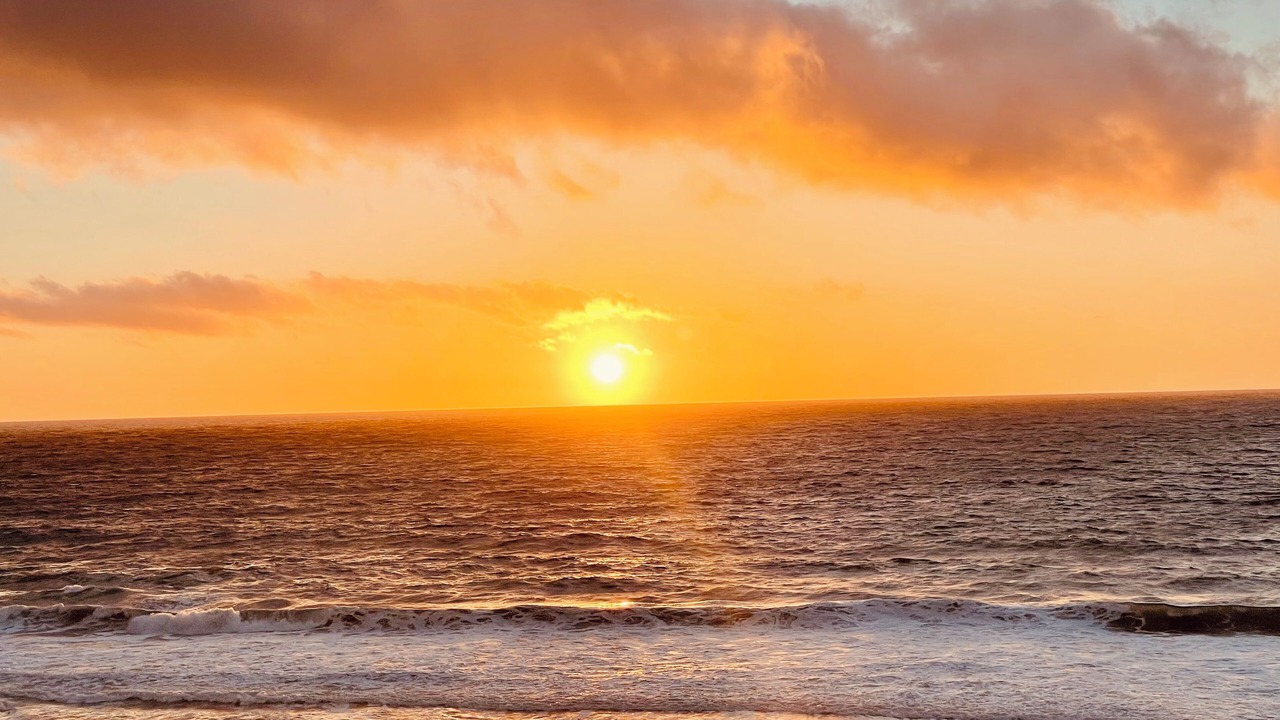 Photo of Others in Redondo Beach