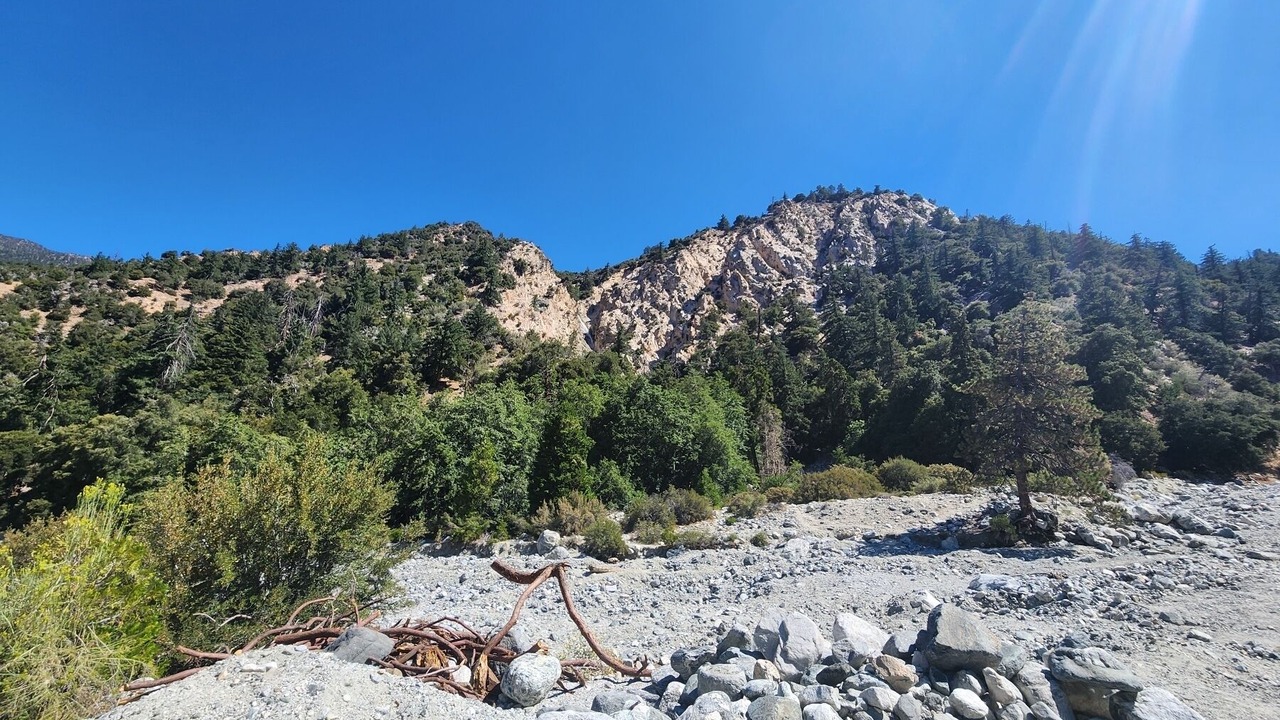 Photo of Others in Forest Falls