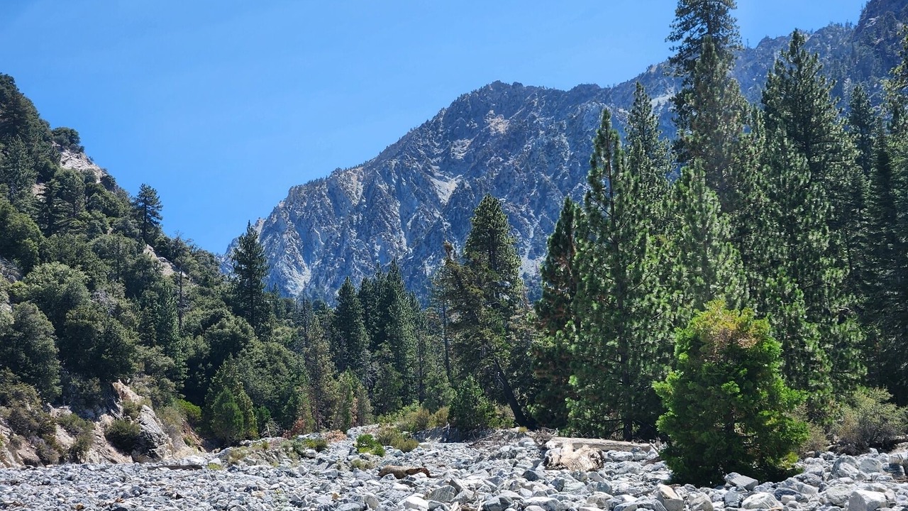 Photo of Others in Forest Falls
