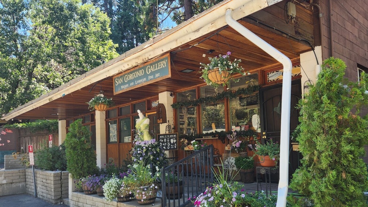 Photo of Outdoor in Forest Falls