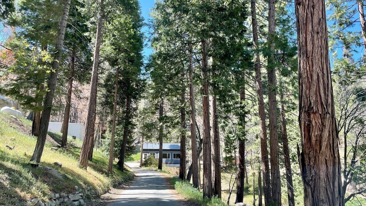 Photo of Others in Alta Sierra
