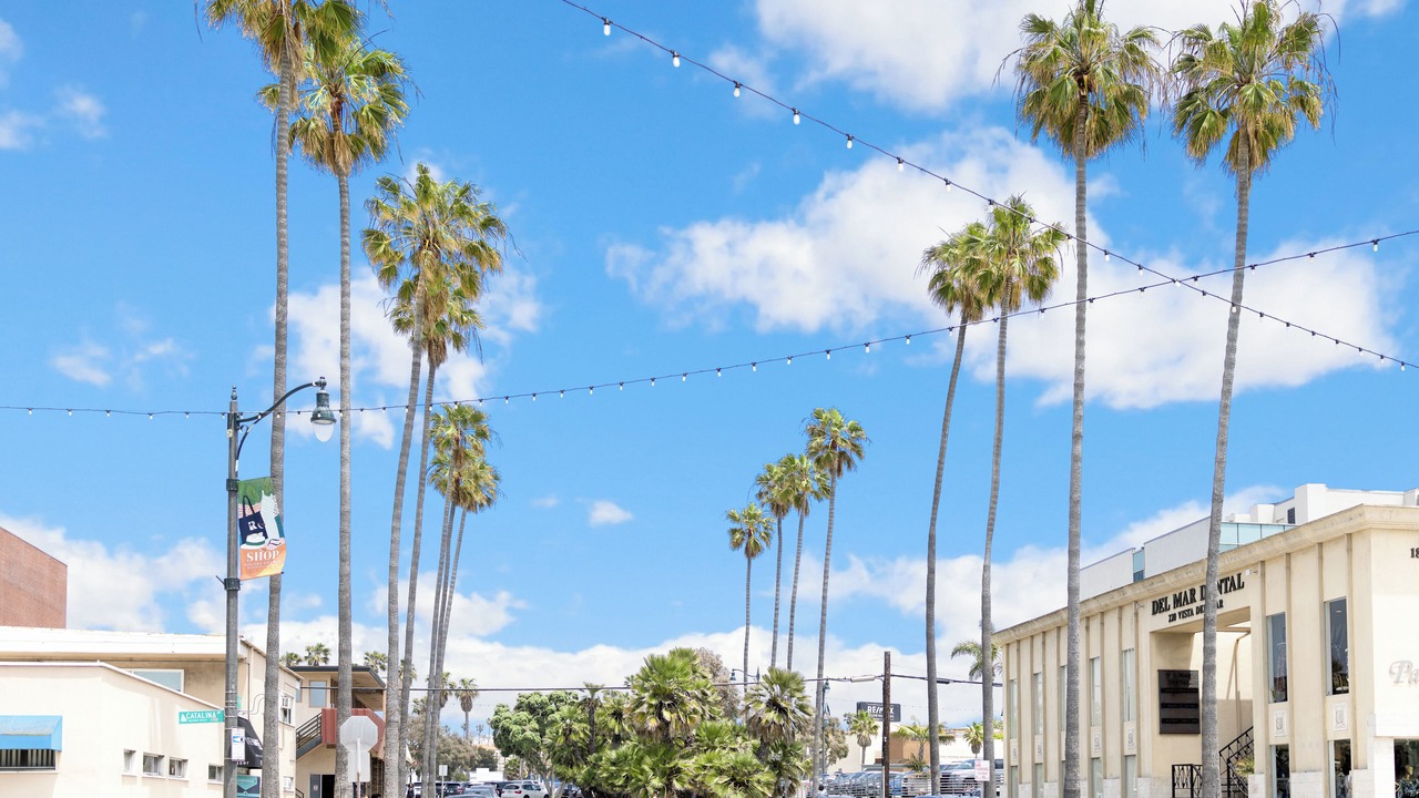 Photo of Outdoor in South Redondo