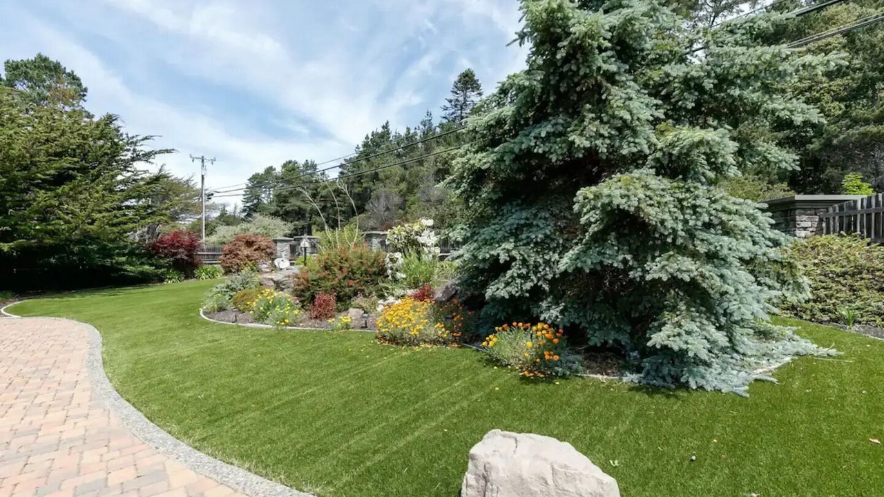 Photo of Outdoor in Gualala