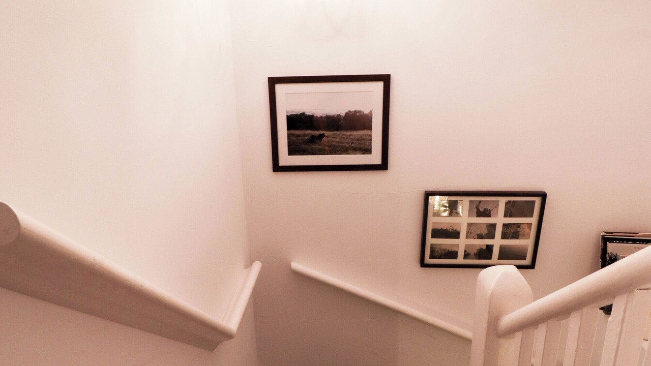 Photo of Others in Fitzrovia