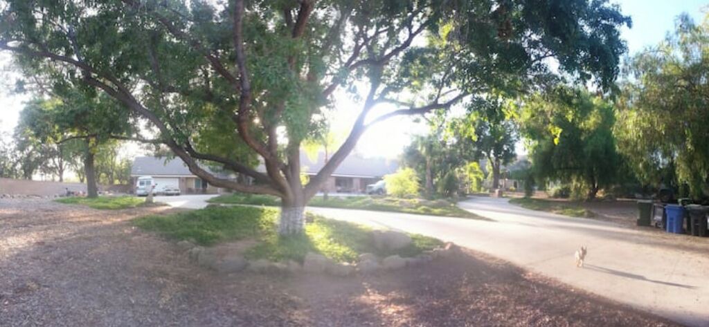 Photo of Outdoor in Simi Valley