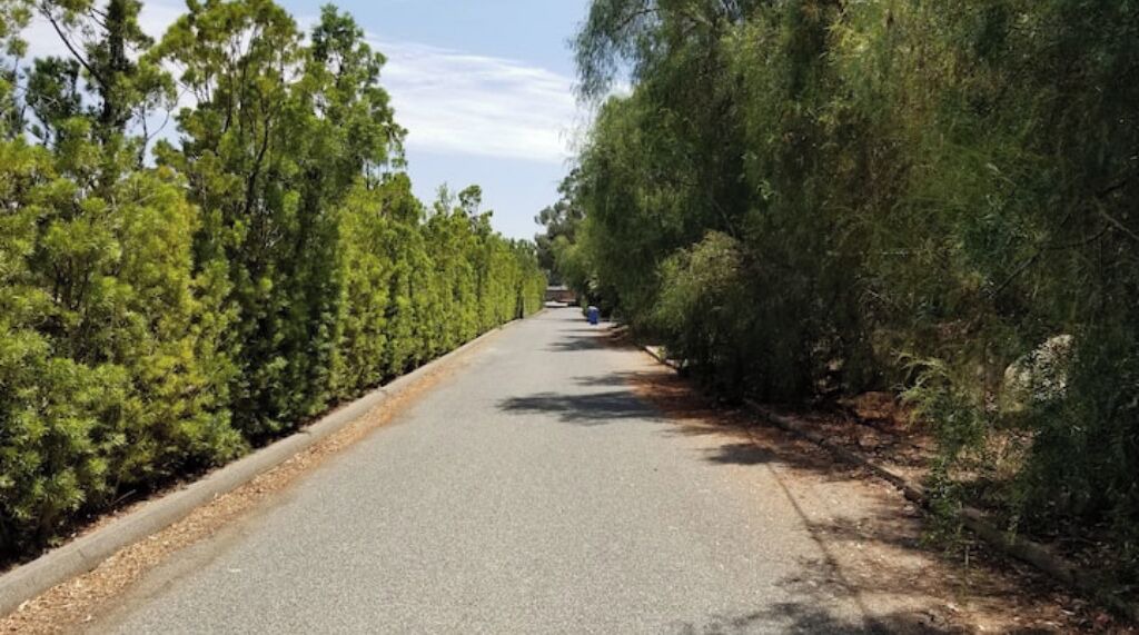 Photo of Others in Simi Valley