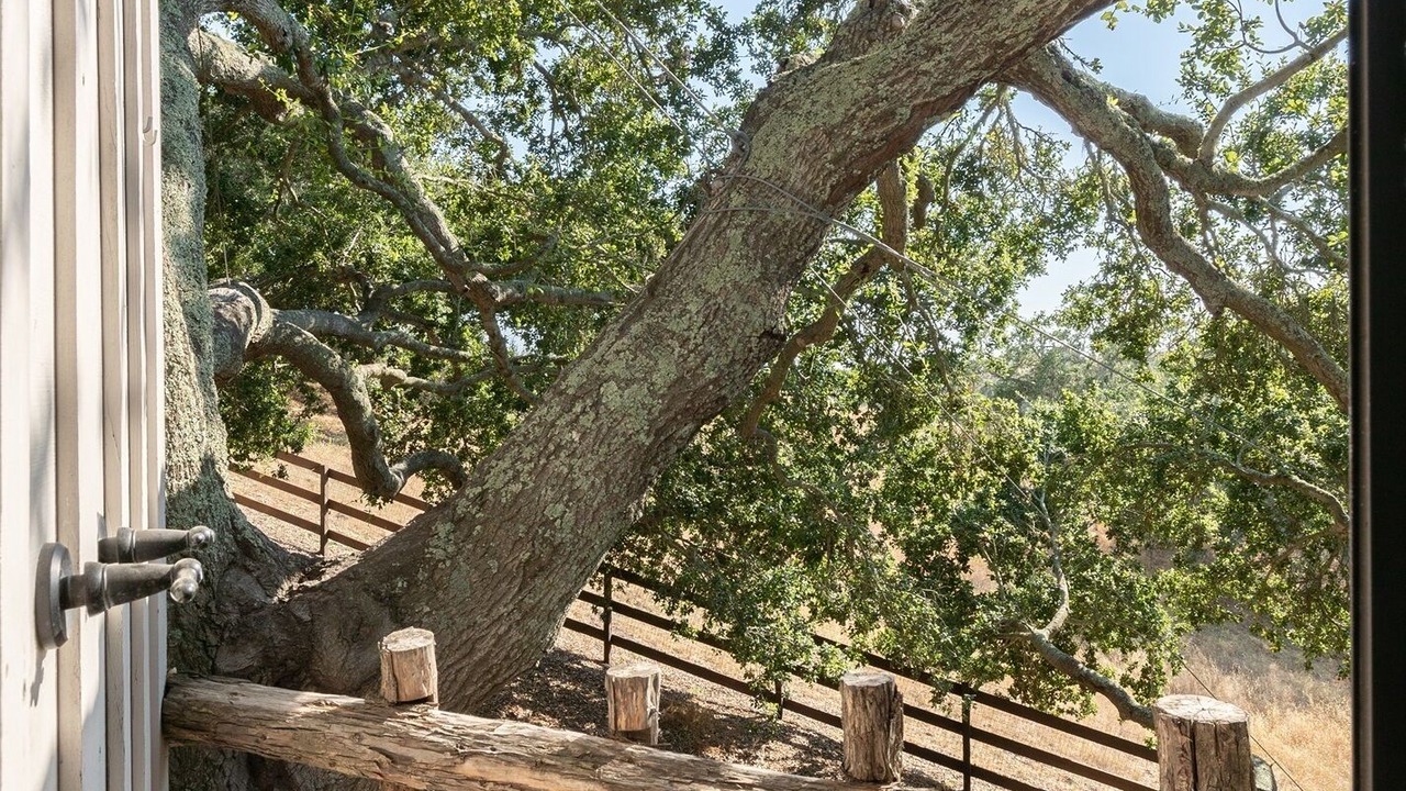 Photo of Outdoor in Santa Ynez
