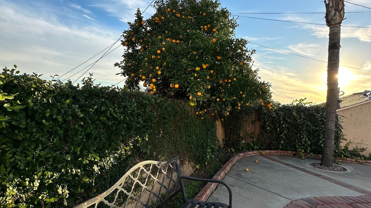 Photo of Outdoor in Burbank