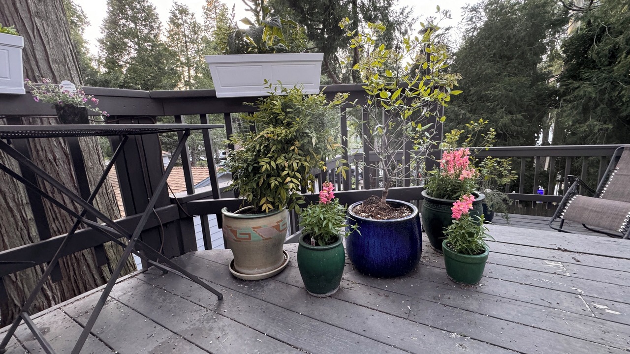 Photo of Patio Balcony in Crestline