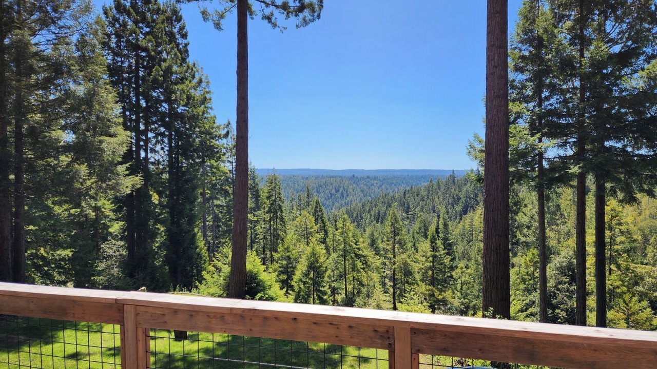 Photo of Outdoor in Little River